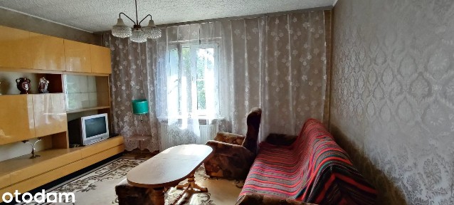 Okazja, jasne 2 pokojowe mieszkanie 48,92 m² w Policach, do remontu