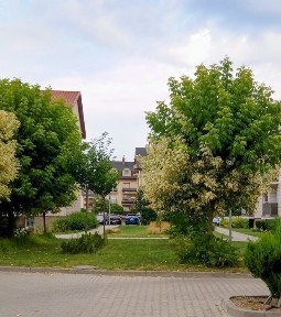 Wygodne mieszkanie na sprzedaż.