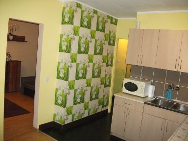Mieszkanie na parterze z balkonem. 1300zł z ogrzewaniem. Brak odstępnego.