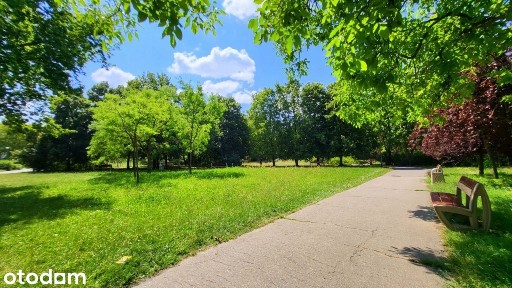 Z widokiem na park, przestronne i słoneczne!