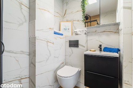 Po REMONCIE!|3 pok|BEZPOŚREDNIO|ZIELONA OKOLICA|BLISKO CENTRUM