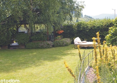 Dom z ogrodem i dodatkowo wydzielonymi dwoma niezależnymi mieszkaniami