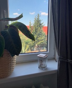 Kawalerka po remoncie przy Uniwersytecie Medycznym