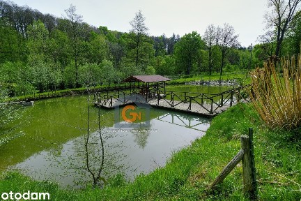 Nowy nietuzinkowy dom o pow. 150m2 ze stawem. Działka o pow. 1ha
