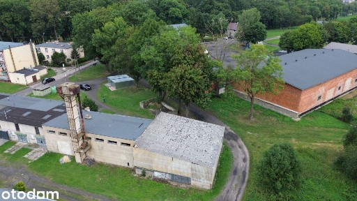 Bieskowo/hala300m2/plac1500m2