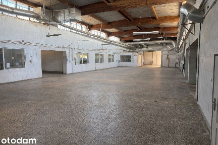 Kompleks hal produkcyjnych 4750m2 z magazynami, trafostacja, produkcja