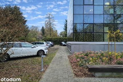 Saska Kępa, Praga-Południe, Warszawa, mazowieckie