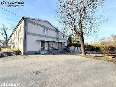 Lokal na wynajem, Bielsko-Biała
