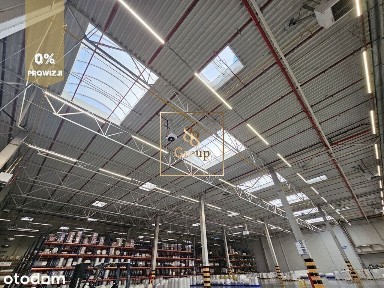 Magazyn 4.712 m2 + biuro 222 m2 Pruszków A2