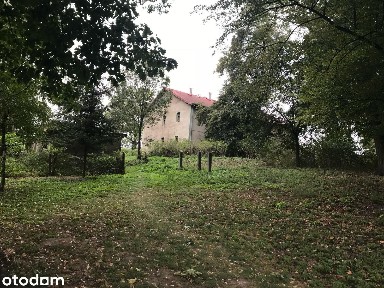 INWESTYCJA Z POTENCJAŁEM - Pałac z XVIII wieku, 940 m², 1 ha działki