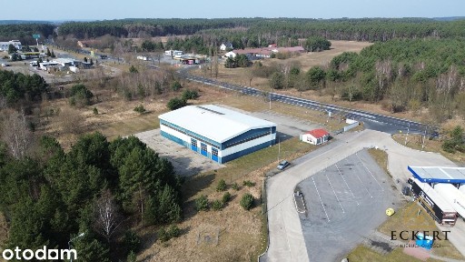 HALA LOGISTYCZNA-SERWIS-TIR-A2 |NIEMCY| TORZYM