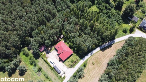 Dzierzgów, Radków, włoszczowski, świętokrzyskie