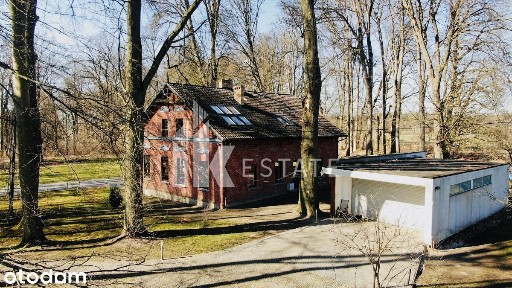 Unikalna okazja inwestycyjna! Perełka