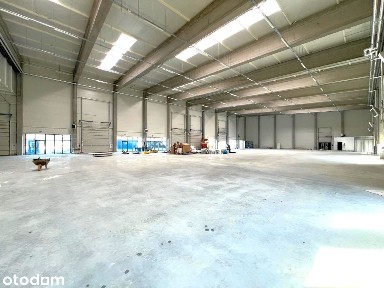 Hala, Rzeszów Dworzysko pow. od 390m2 do 1515m2