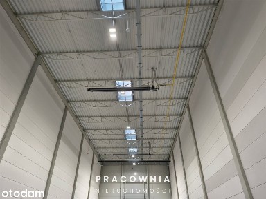 Nowoczesne hale, wysokie składowanie