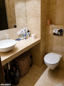 Mieszkanie do wynajęcia z balkonem w Wrocławiu