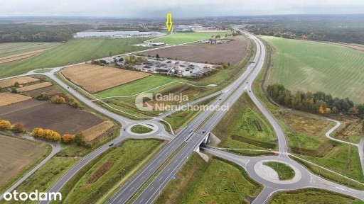 Na Wynajem Hala Z Biurem 1550 M2