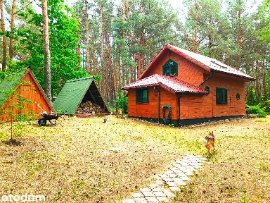 Dwa domy w pięknym miejscu - 110 km od Warszawy !