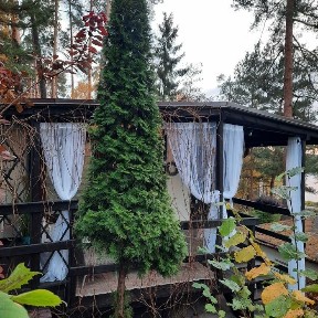 Na sprzedaż domek Letniskowy nad jeziorem Wielkie Partęczyny