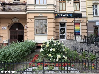 Lokal do wynajęcia Centrum - duże możliwości rozwoju