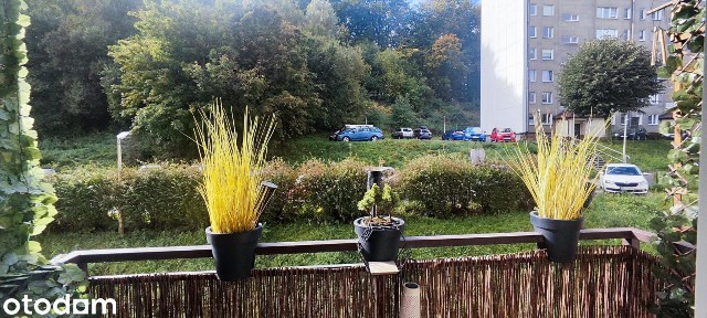 3 oddzienle pokoje, kuchnia, łazienka i toaleta blisko centrum Gdyni