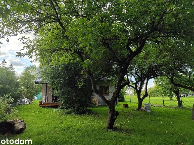 Nowoczesny, całoroczny dom nad Narwią | Blisko Warszawy