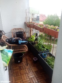 Przestronne mieszkanie 3-pokojowe, 63 m