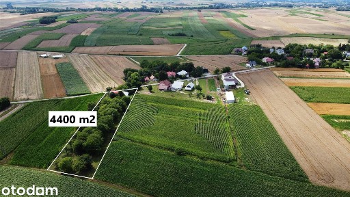 Urokliwe 