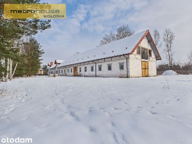 Stajnia z częścią mieszkalną na 40 458 m2 działce.