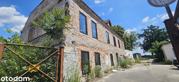 ul. Szkolna, Krosno Odrzańskie, krośnieński, lubuskie