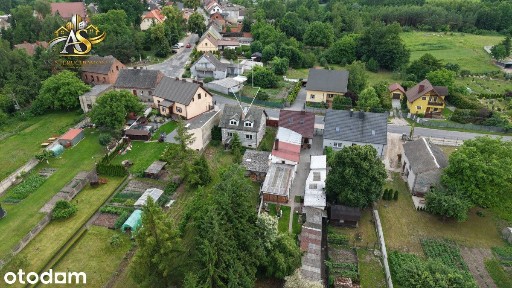 Kwieciszewo, Mogilno, mogileński, kujawsko-pomorskie