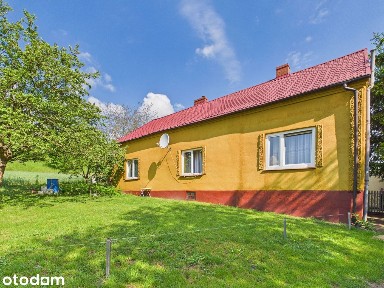 Piotrkowo, Ciechocin, golubsko-dobrzyński, kujawsko-pomorskie