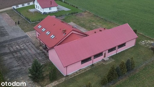 Lokal użytkowy- 850 m2 na działce 30 arów, s61 Via Baltica