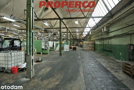 Hala 1645 m2 i biura ok. 500m2, Kielce