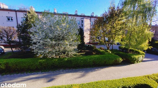 Mieszkanie do wynajęcia, 37m2, blok, Siemianowice ul. PCK
