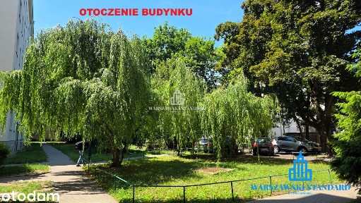 Duże parterowe mieszkanie idealne dla biura, kancelarii lub usług