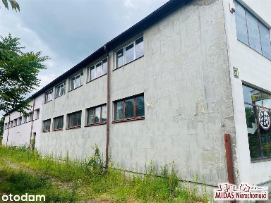 Azet do wynajęcia!