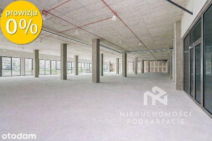 Lokal U9 do wynajęcia - 727 m² - Olszynki Park