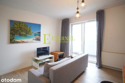 2pokojowe mieszkanie z dużym balkonem pet friendly, obok AWF, DH Wanda