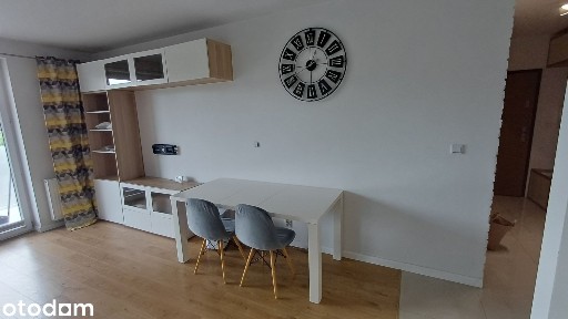 Mieszkanie na wynajem - Łokietka 50m2