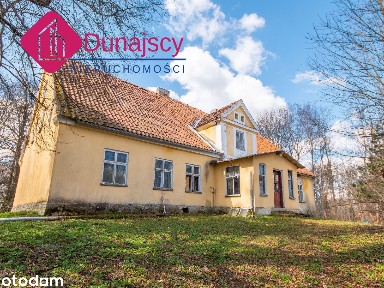 DWOREK Z LINIĄ BRZEGOWĄ JEZIORA, TEREN WOKÓŁ PONAD 10 HEKTARÓW, NATURA