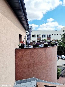 Świebodzice, świdnicki, dolnośląskie