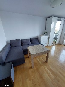 Wynajmę mieszkanie ul. Łozowa, Dębiec, Poznań
