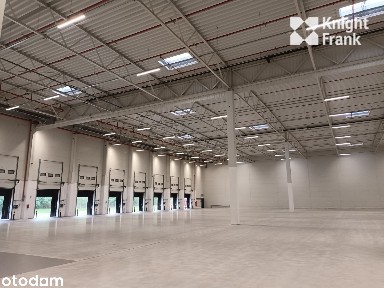 1620 m2 w nowoczesnym parku magazynowym pod Warszawą