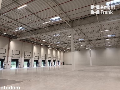 1620 m2 w nowoczesnym parku magazynowym pod Warszawą