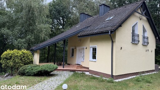 Dom premium w otoczeniu lasu, 2800m2 ogrodu, sauna, 5km do centrum