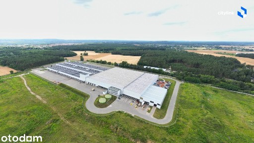 Nowoczesna Wiata Magazynowa 2 000 m² Poznań | Ochrona | Przylegająca