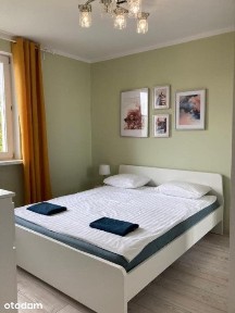 2 oddzielne pokoje Gdańsk Brzeźno blisko tramwaj