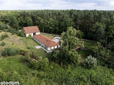Siedlisko w lesie, 4,7 ha !