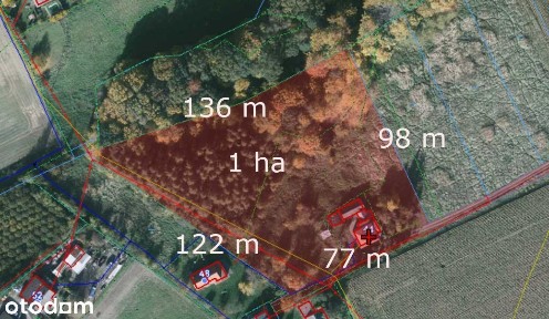Gospodarstwo w Kończycach Małych.